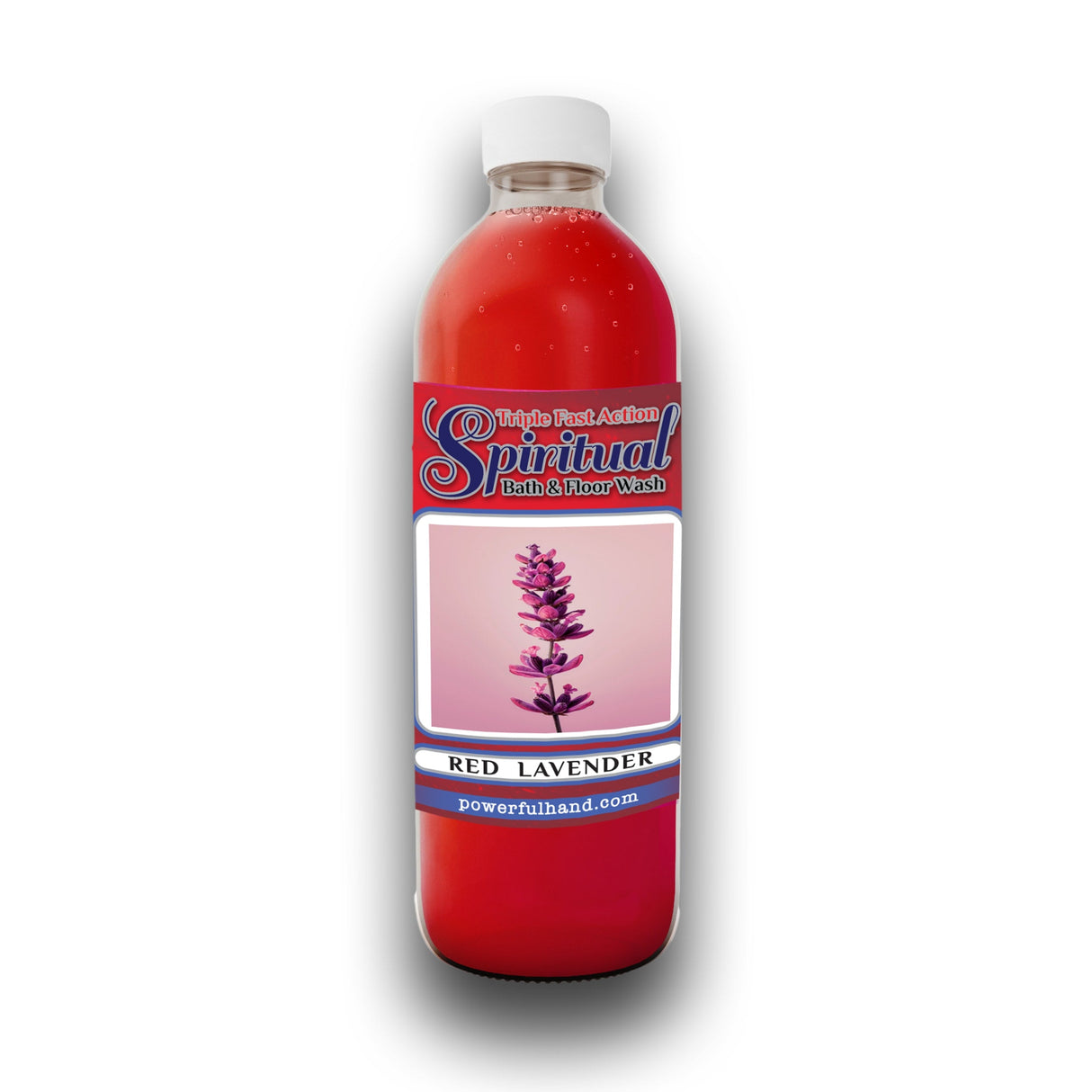 395d689b-409f-405d-b310-3a29dadd75bb_large_488cdfe7-ea93-428a-aafd-8a64dd70f4ab