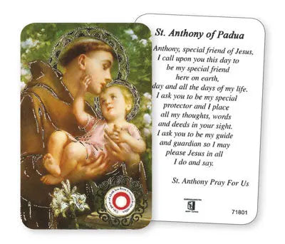 Saint Anthony Relic Prayer Card CBC Distributors