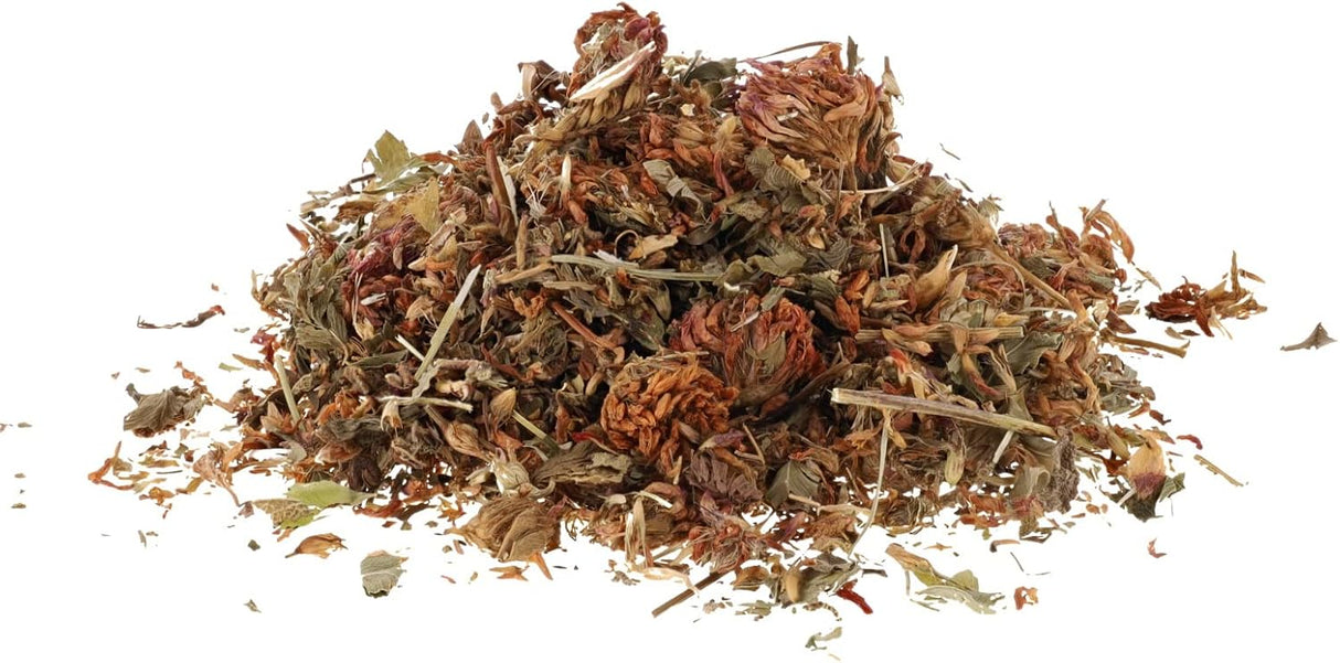 Erva de flores de trevo vermelho