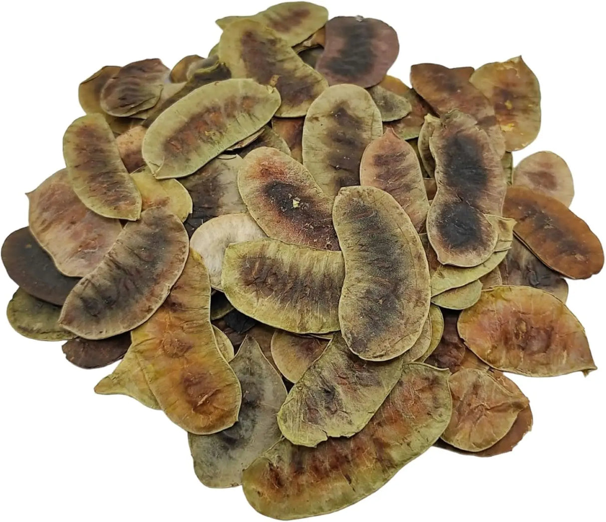 Senna Pod Herb Powerfulhand.com