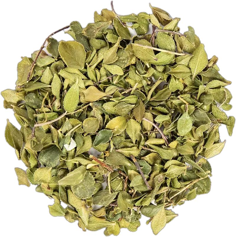 BuchuHerb