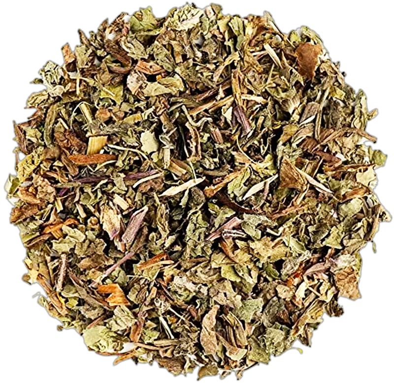 Dandelion_Herb