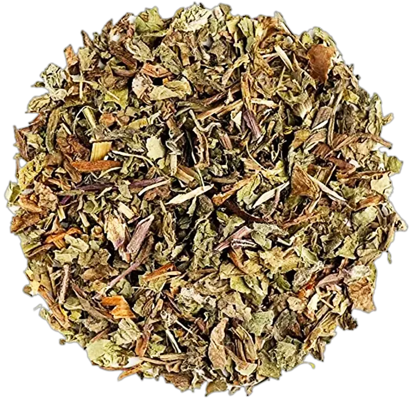 Dandelion_Herb