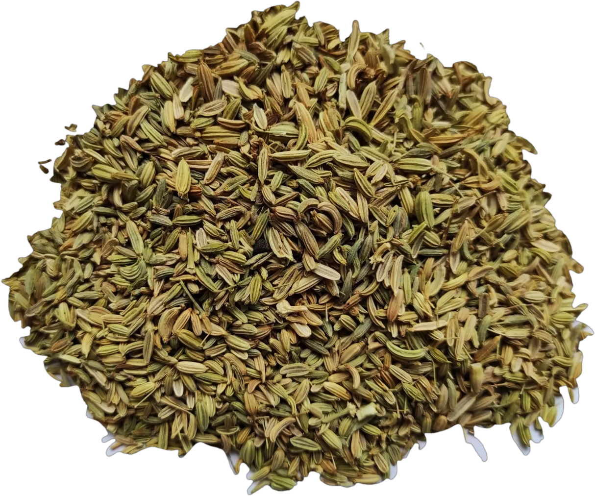FennelSeeds