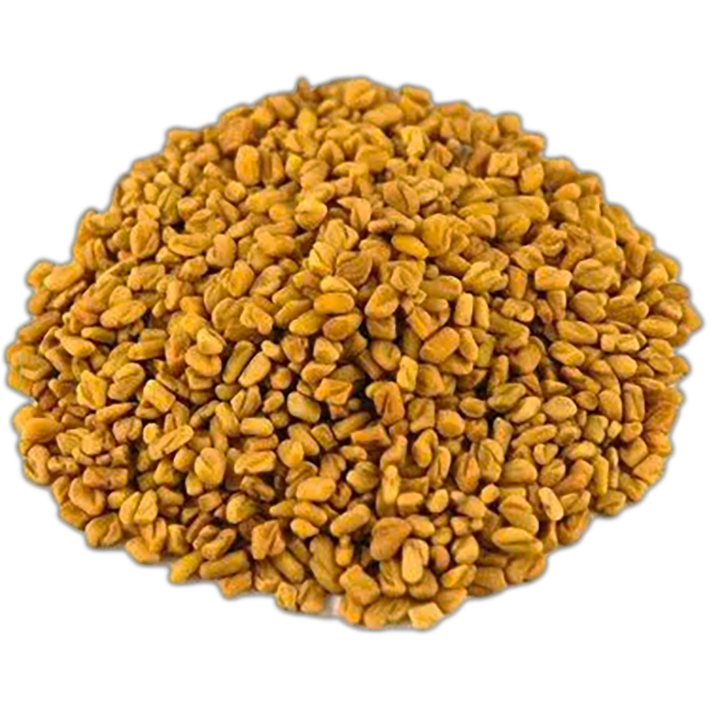 FenugreekSeedsHerb