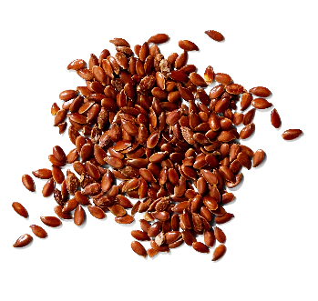 Linseed Herb (Flaxseed)