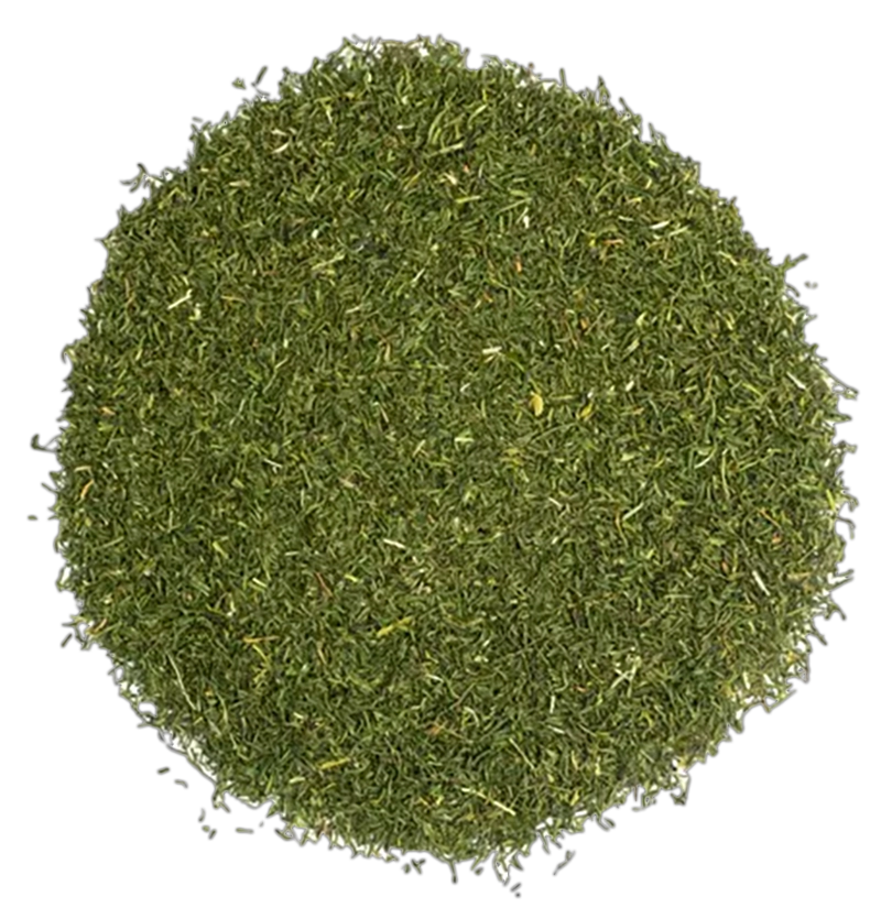 dillweed