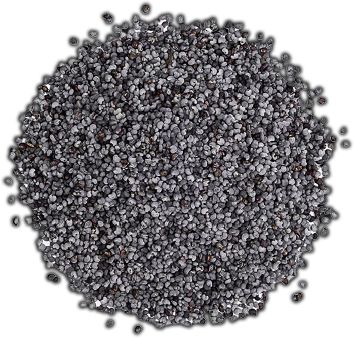poppyseedscopy_c34a923a-5a55-40a4-b902-6dfe6a7fb891