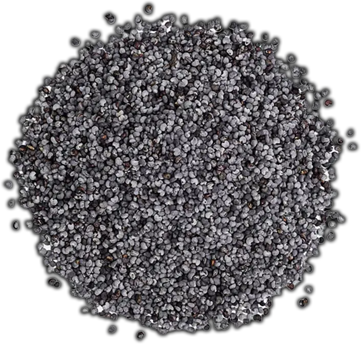 poppyseedscopy_c34a923a-5a55-40a4-b902-6dfe6a7fb891