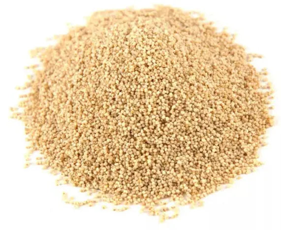 White Poppy Seeds Powerfulhand.com
