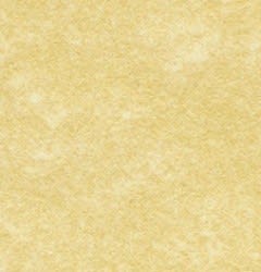 Virgin Parchment Paper 10x12"