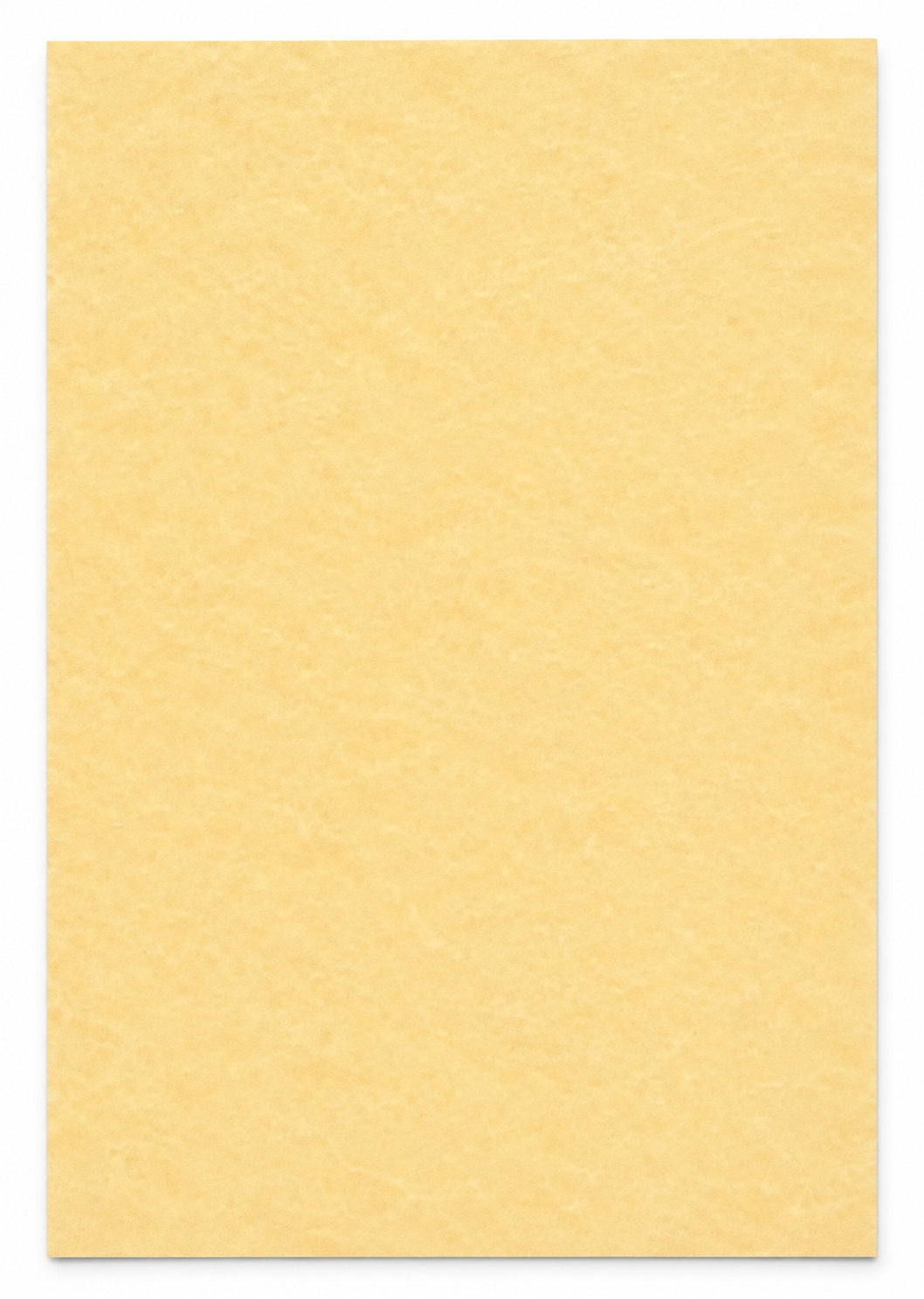 Regular Parchment Paper — white background studio photo