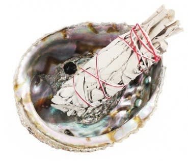 Sage Abalone Shell Kit