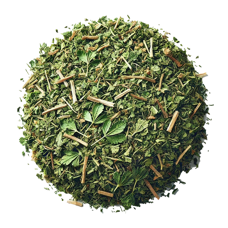 Alfalfa Herb