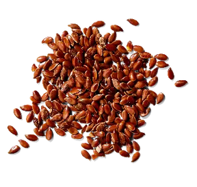 Linseed Herb (Flaxseed) Powerfulhand.com