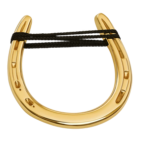 Brass Horseshoe Powerfulhand.com