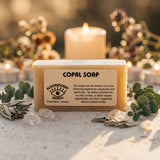 Artisanal bar soap — Premium Apothecary Lifestyle | Generated by Modelize