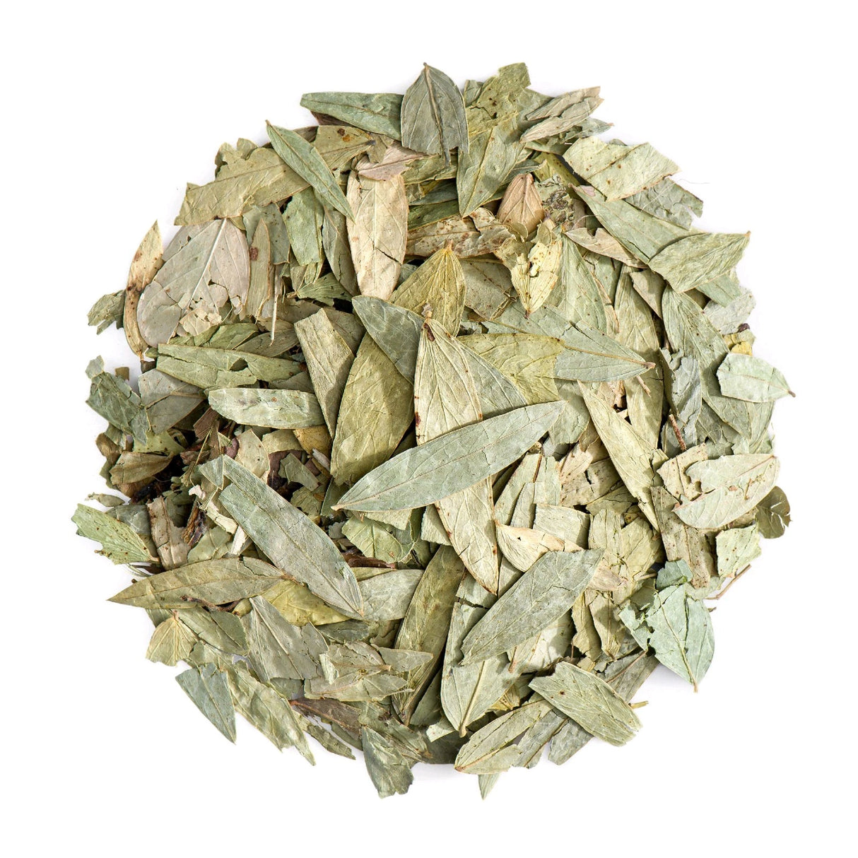 Herbe de feuille de séné