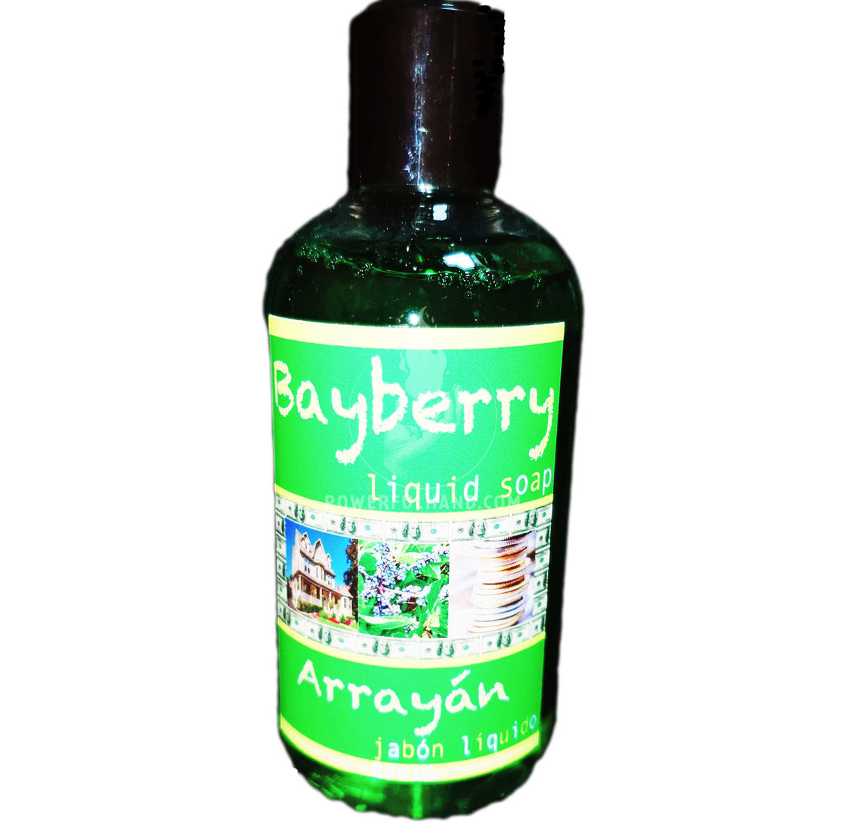 Savon liquide Bayberry