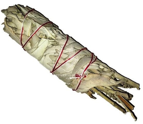 Medium White Sage Smudge Stick