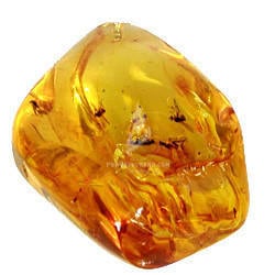 Amber Tumbled Stone