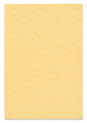 Regular Parchment Paper — white background studio photo