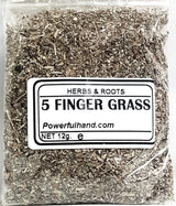 Five Finger Grass Herb