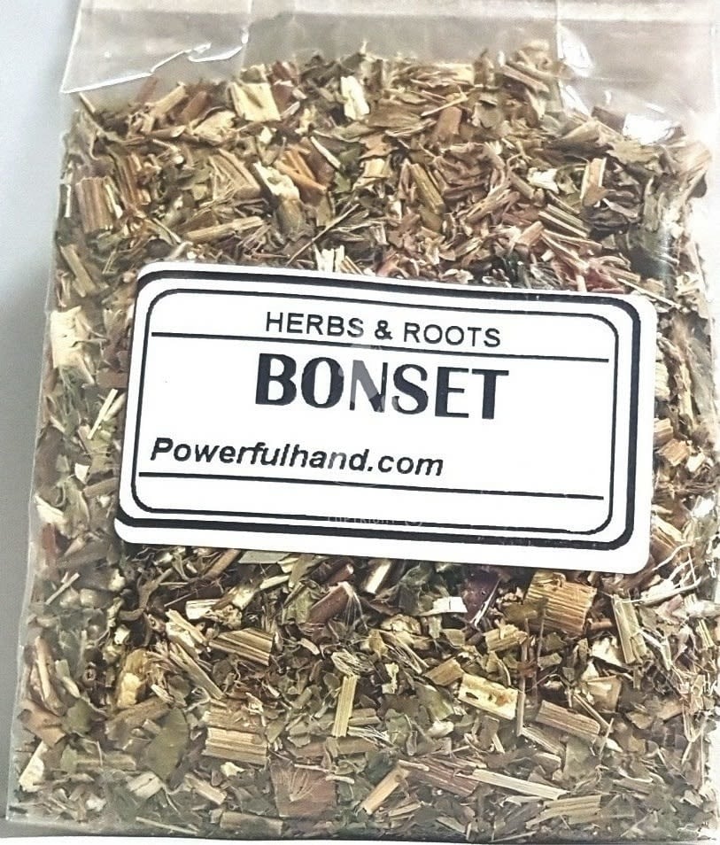 Bonset Herb