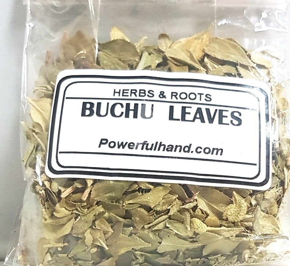 Buchu Herb