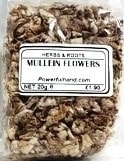 Mullein Flowers Herb