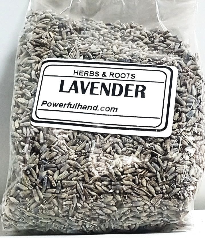 Lavender Herb