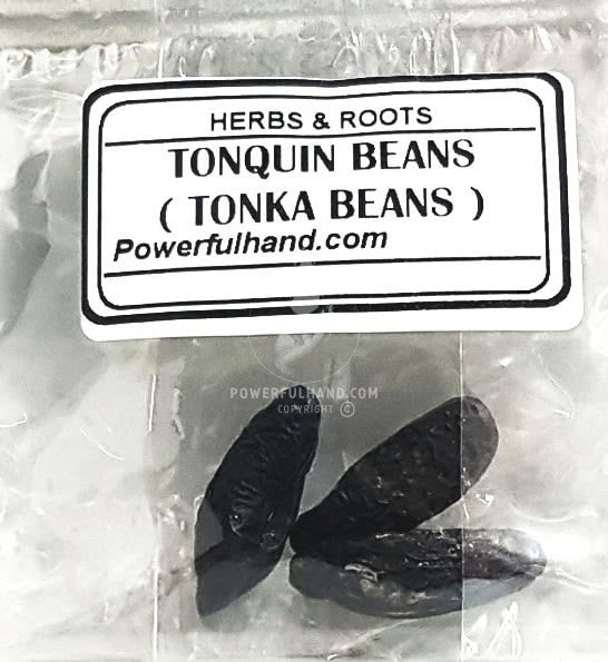 Tonquin Beans