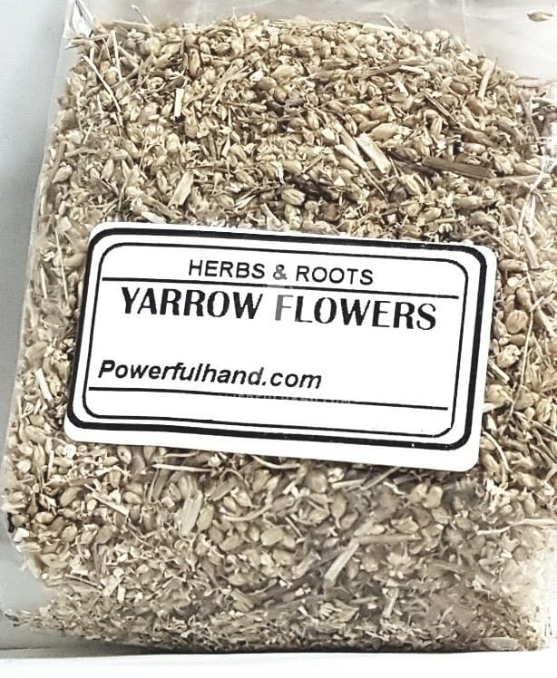 Yarrow Flower Herb