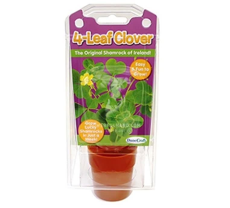 Grow Your Own Lucky Clover