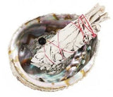 Sage Abalone Shell Kit