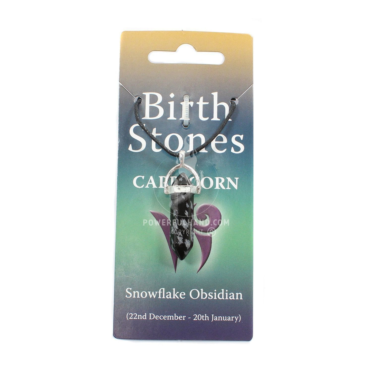 Capricorn Birthstone Pendant