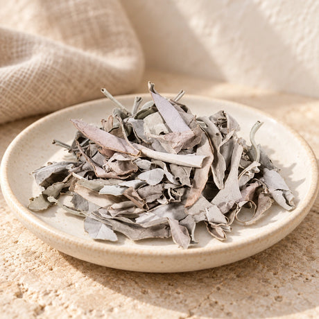 Dried white sage loose leaves on an ivory ceramic dish