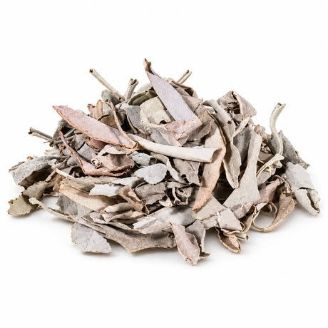 White sage loose leaves on a white background
